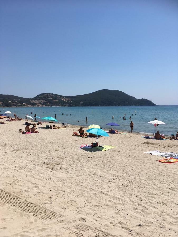 Les Palmiers Lejlighed Saint-Cyr-sur-Mer Eksteriør billede